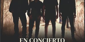 cartel-concierto-solidario-phv